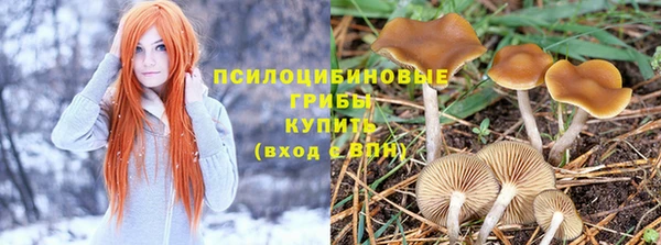 mix Баксан