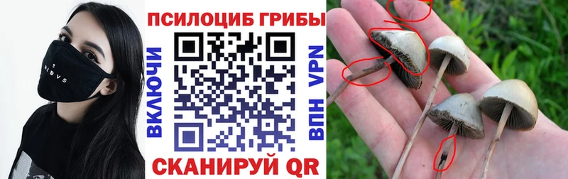 Галлюциногенные грибы Magic Shrooms  цены   Ногинск 