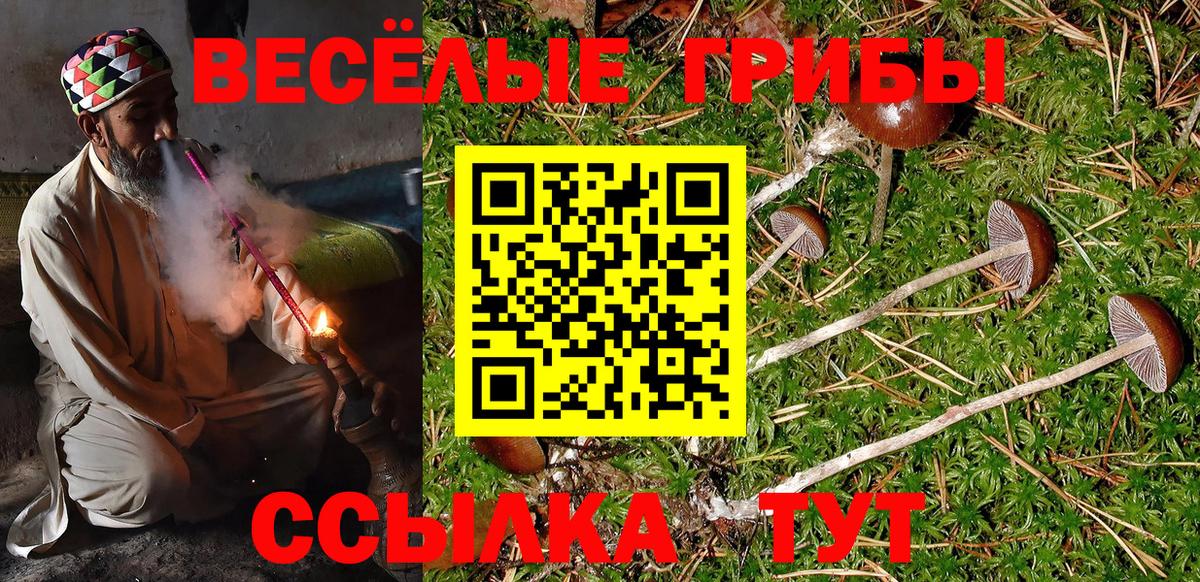  КОКАИН Ногинск