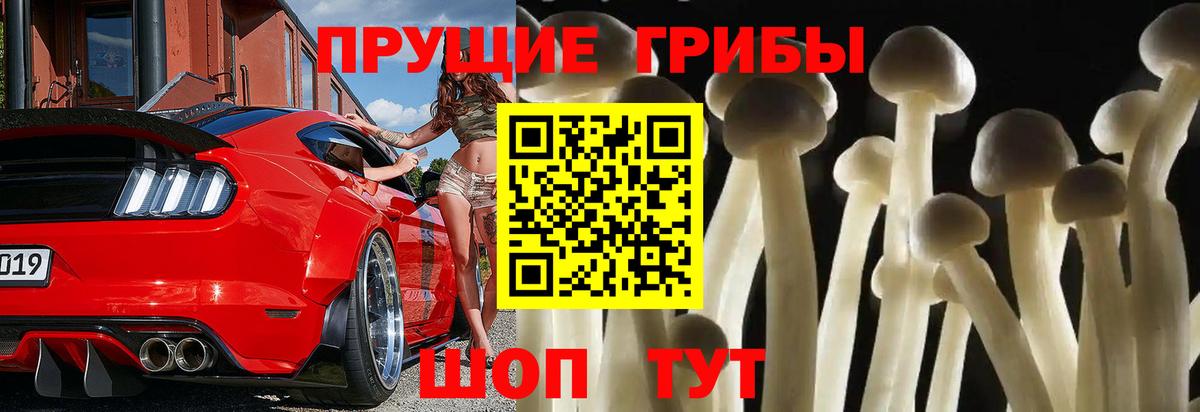 Ногинск  Псилоцибиновые грибы Cubensis  Вход с VPN 